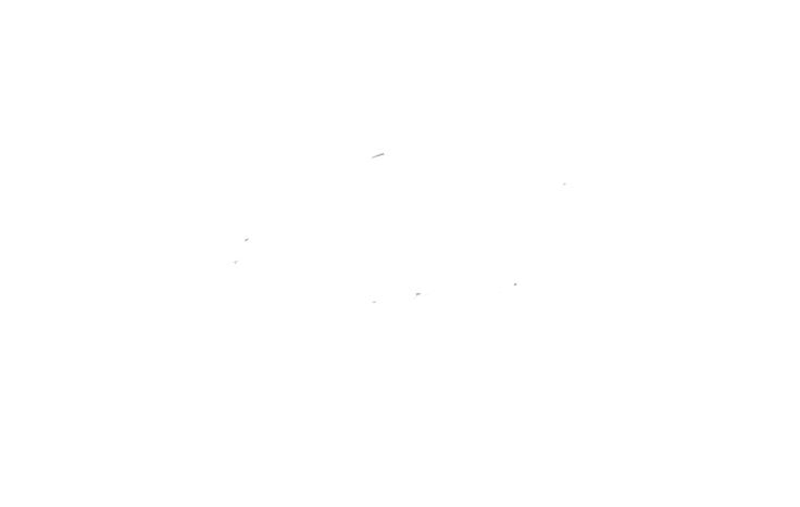 Shoptechy Solutions