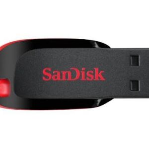 SanDisk 16GB Cruzer Blade Flash Drive