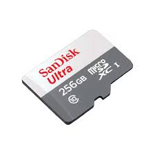 SanDisk Ultra SD Card 150MBs 256GB